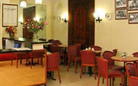 Camelia International
